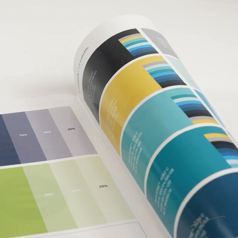 Brand Manual colori istituzionali Brand Manual colori istituzionali