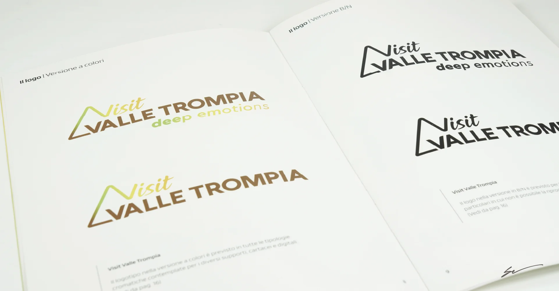 Brand Manual logo con e senza payoff