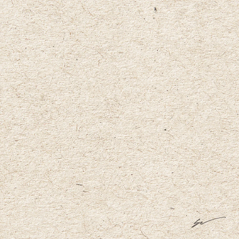carta riciclata o ecologica carta riciclata o ecologica