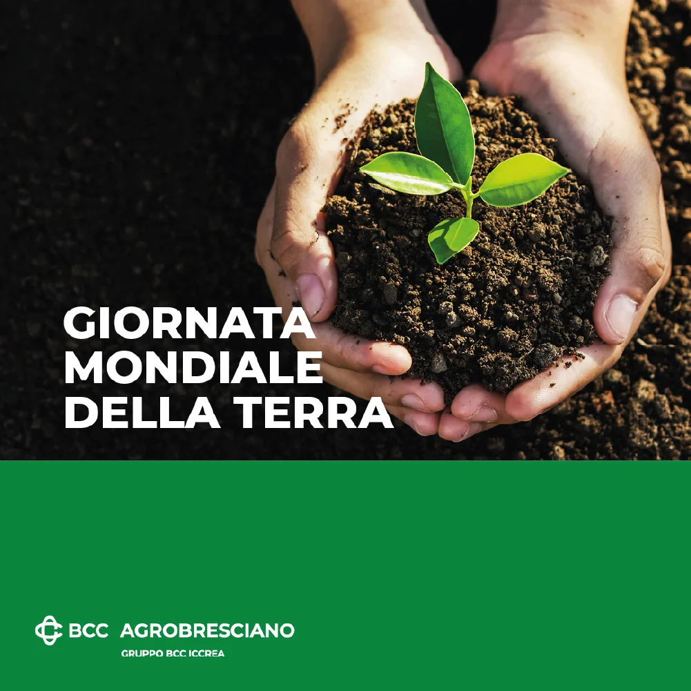 Social gabbia grafica istituzionale Social gabbia grafica istituzionale
