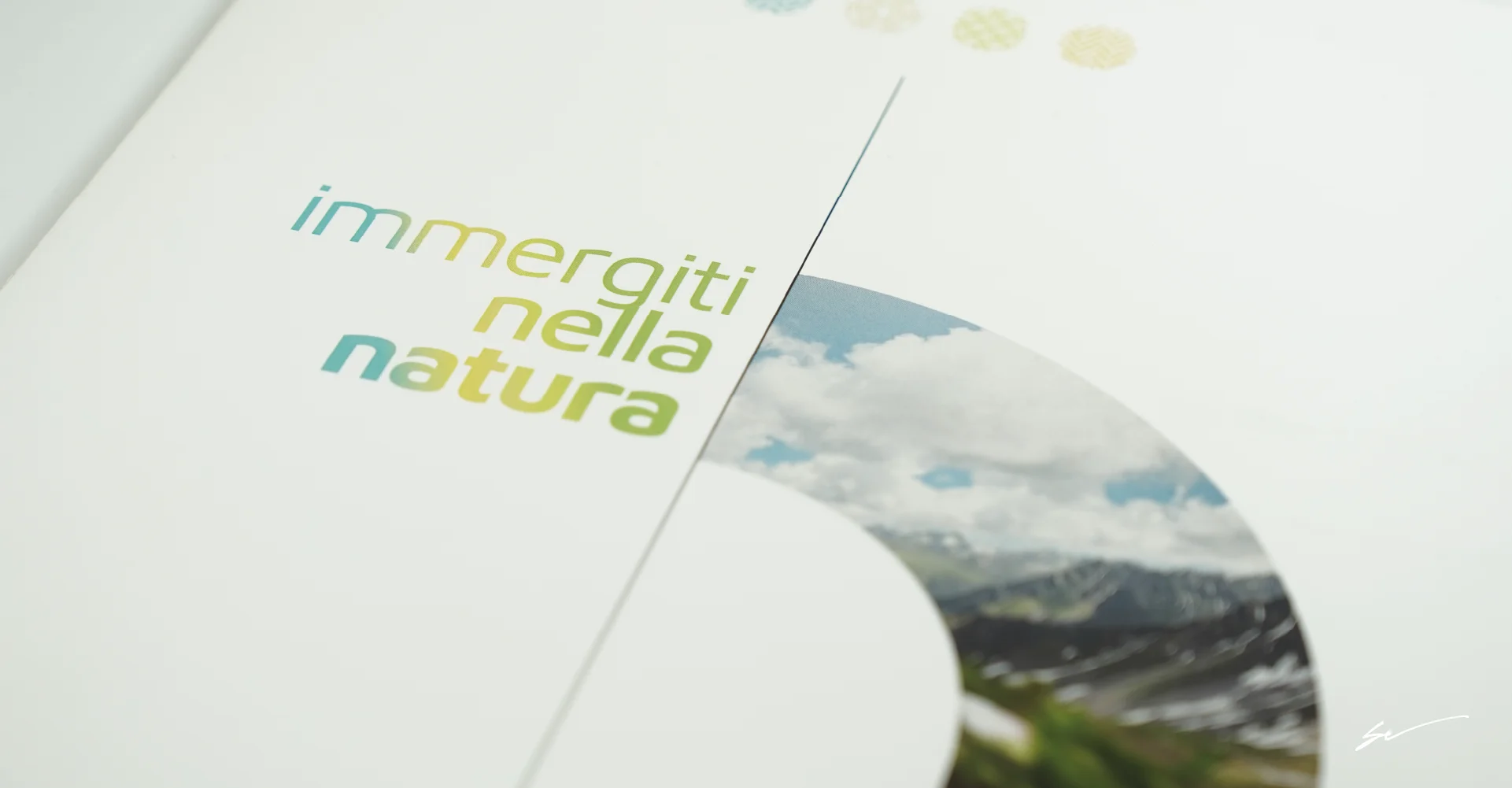 Grafica dell immagine coordinata