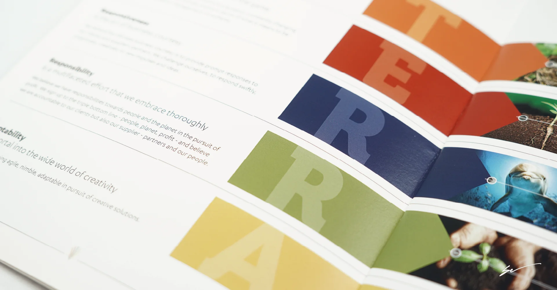 Grafica company profile Grafica company profile