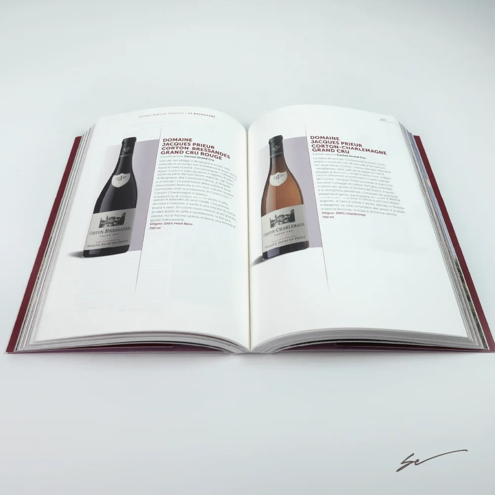 Impaginazione Grafica Libro Impaginazione Grafica Libro