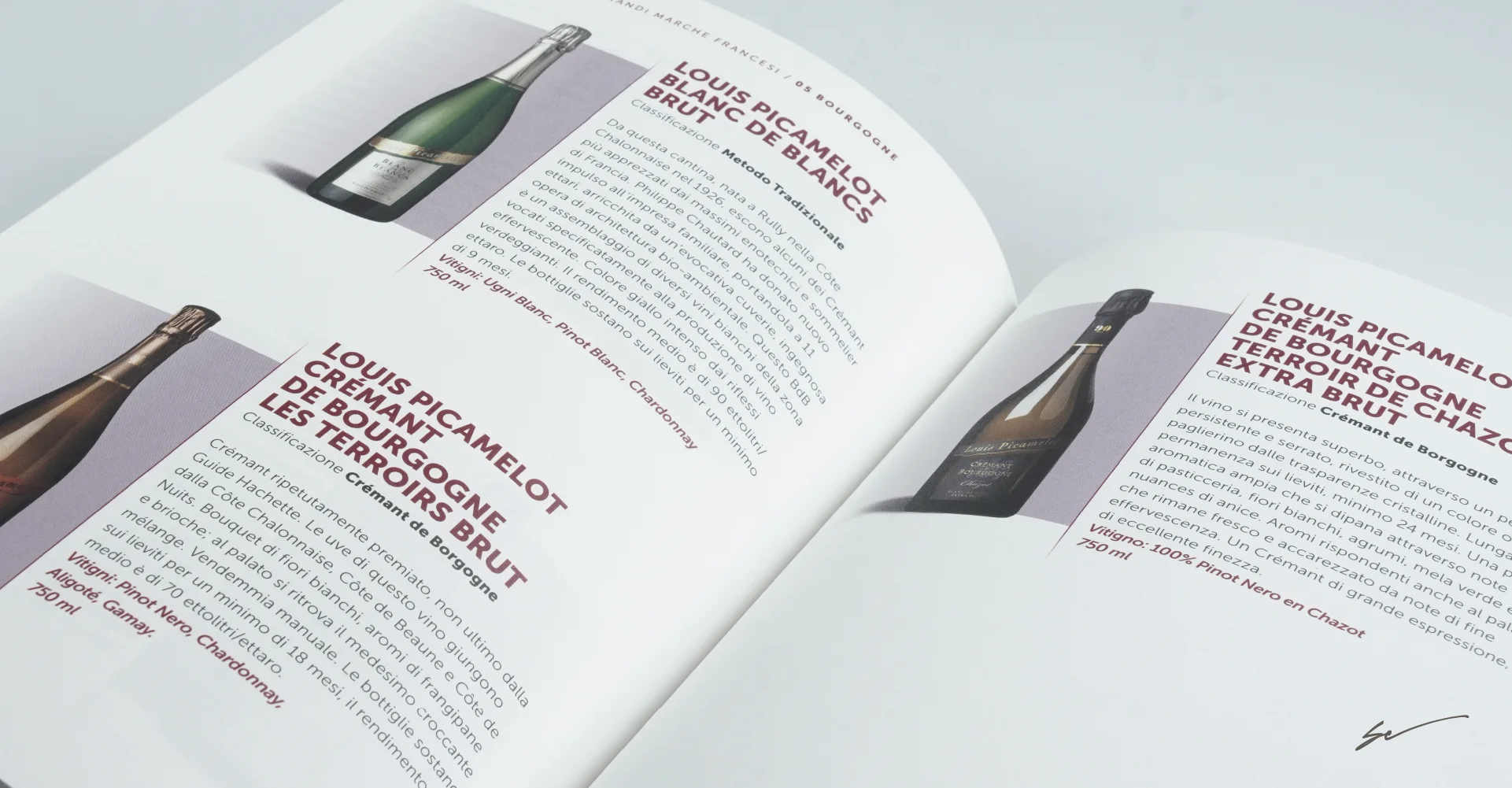 Impaginazione Grafica Libro Impaginazione Grafica Libro